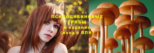 скорость Алексин